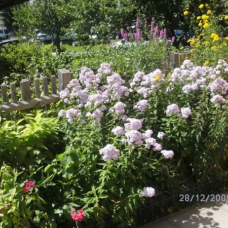 Claudia Apartmán Mauterndorf (Salzburg)